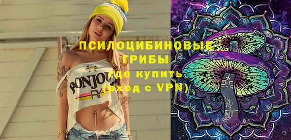 apvp Медногорск